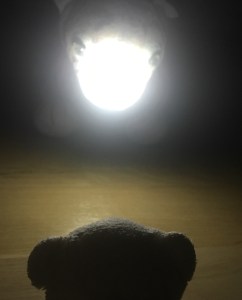 8AC68446-9474-471E-ABD4-4D925FC976C2