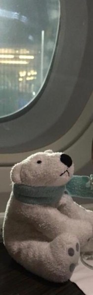 7053d639-0915-41d7-a11d-8287853f35b0