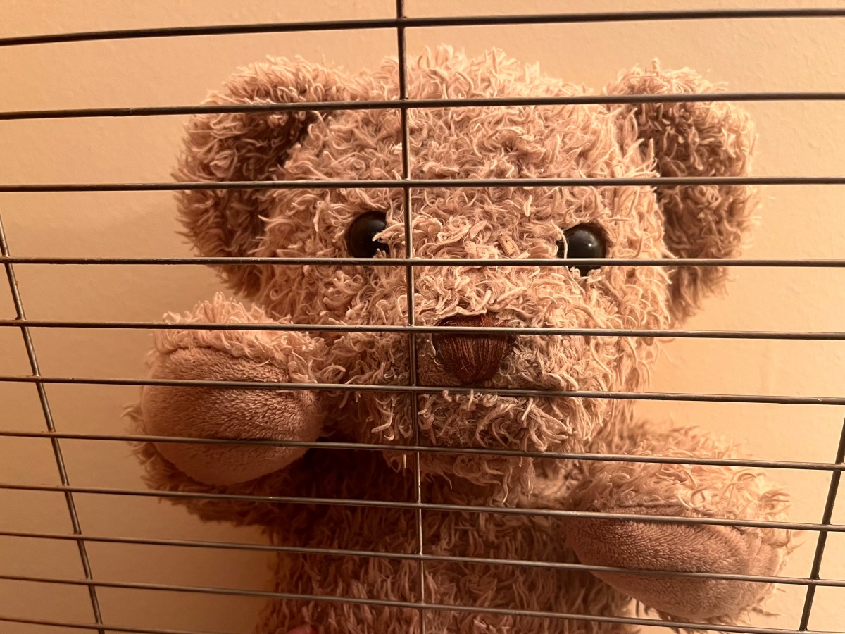 2022 Seven – The Rescue Bus