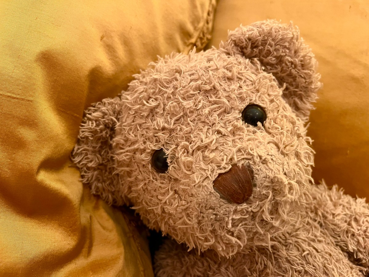 2022 Ten – A Contented Bear