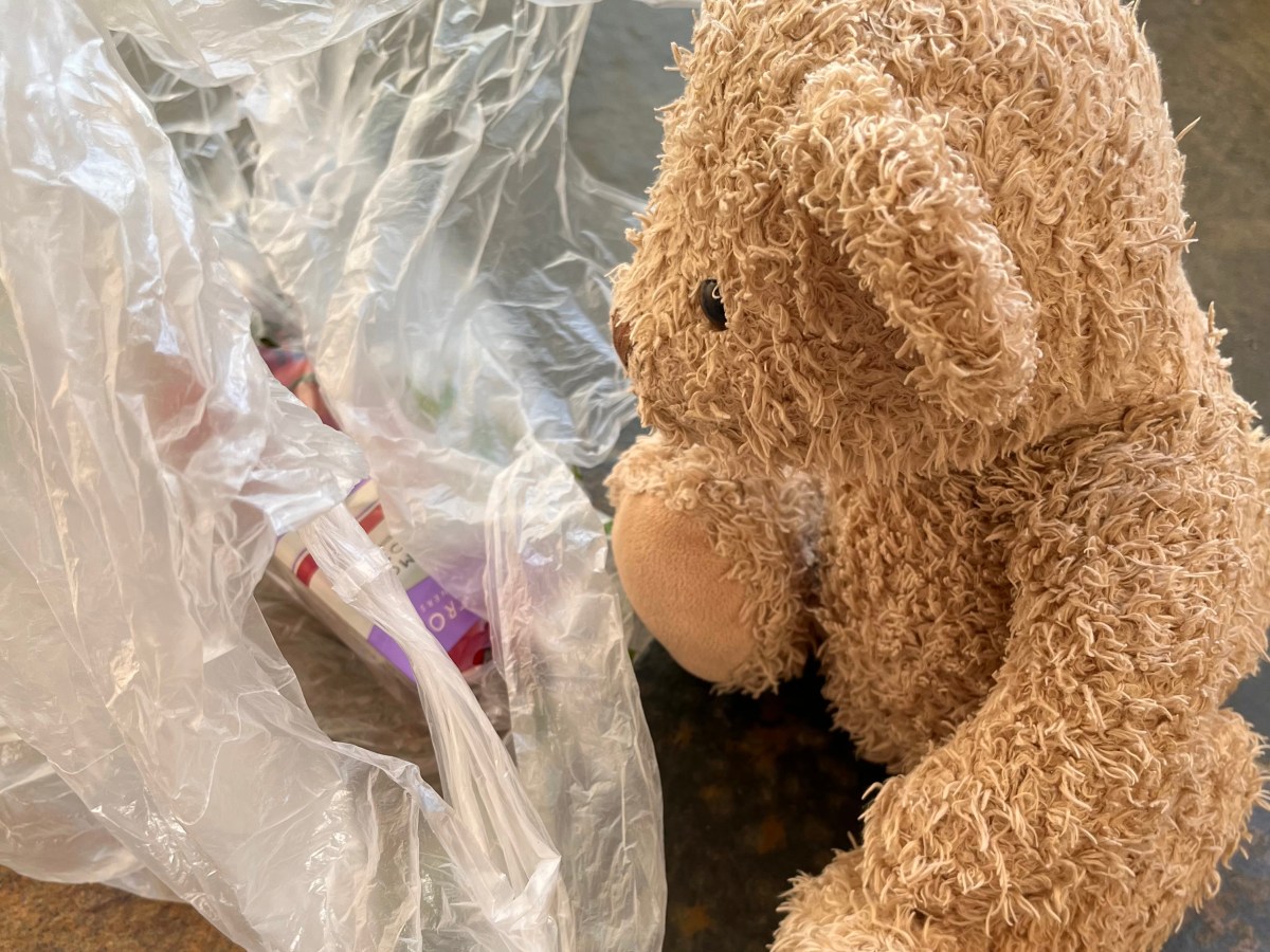 2022 Fourteen – Easy Gardening