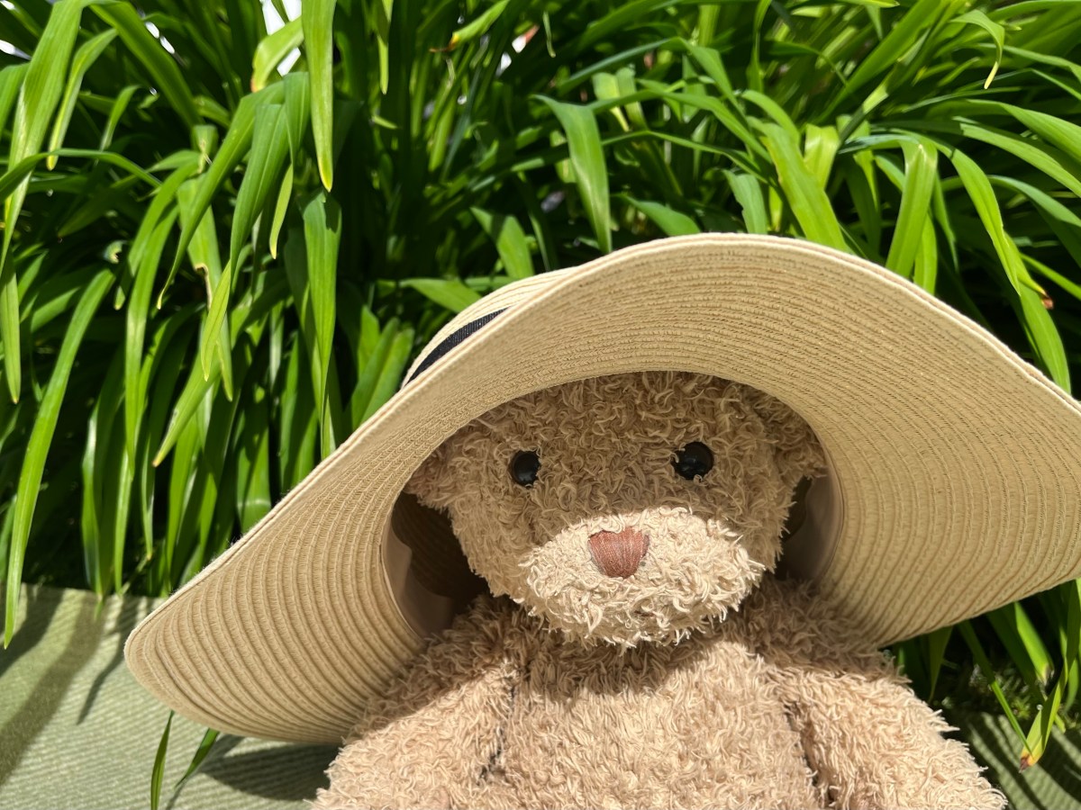 2022 Fifteen – A Day in the Park